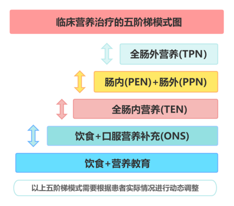 营养五阶梯图片